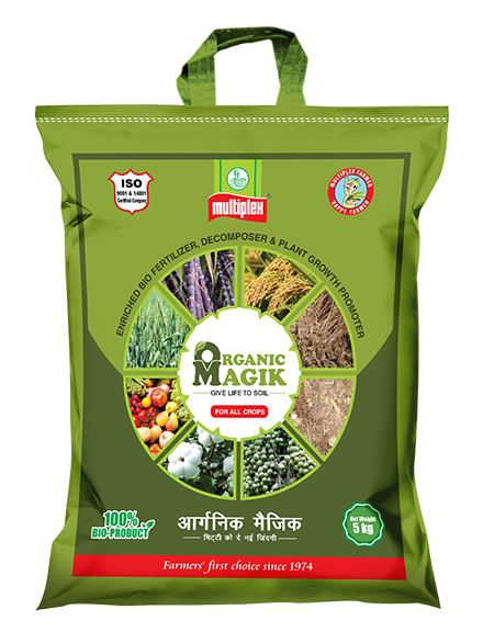 uploads/images/prod/Organic Magik-P.png